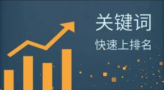 如何在seo优化中对关键词进行分类？