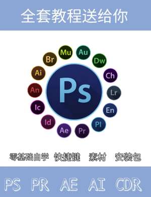 INP教程与竞品全维度对比，帮你做出最佳选择