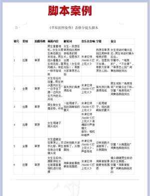 SEO脚本必备工具箱：免费又好用