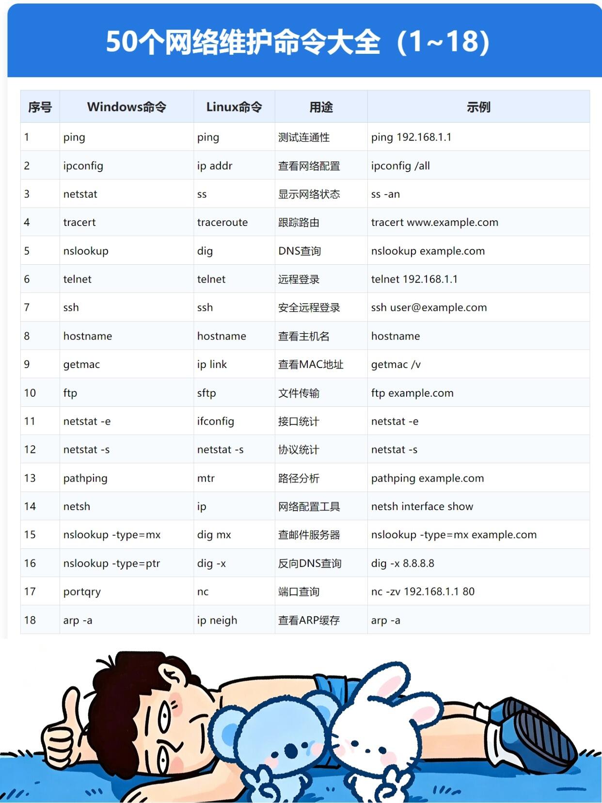 瓦罗兰企业级网站维护指南：帮你省时省钱