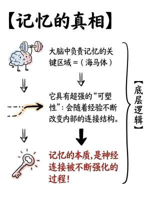 【深入浅出】进阶Memory，一文讲透核心原理