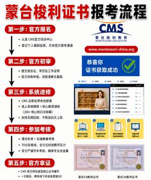 CMS升级避坑指南：新手常见错误汇总